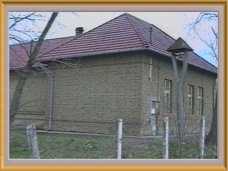 madarasz