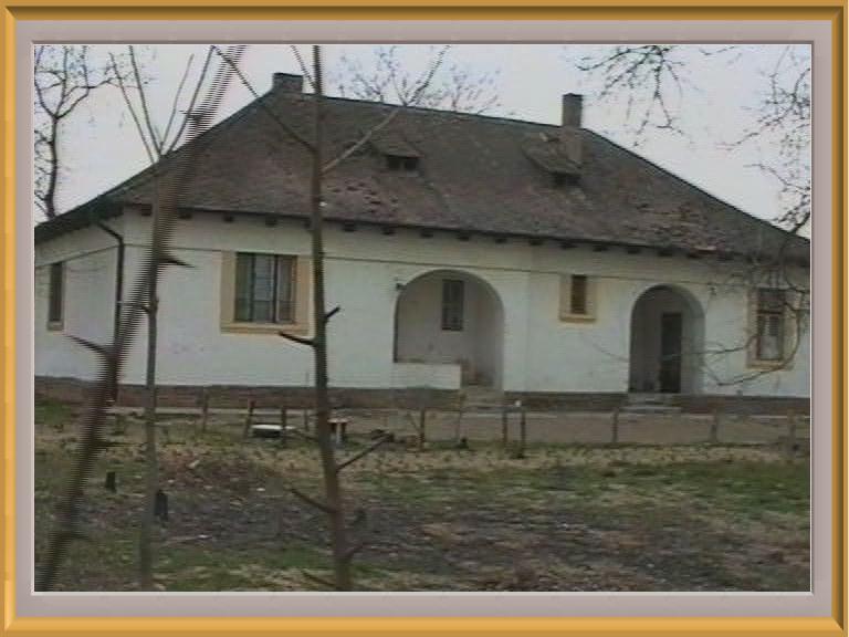szolohegyi